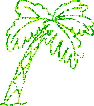 palmtree.gif